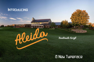 Aleida: The Handmade Typeface for Versatile Design