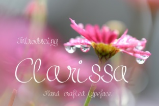 Clarissa: A Versatile Typeface for Creative Expression