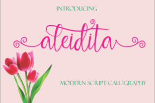 Discover the Elegance of Aleidita: A Modern Calligraphy-Style Script