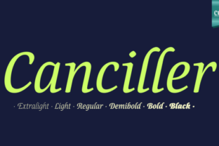 Elevate Your Projects with Canciller Family