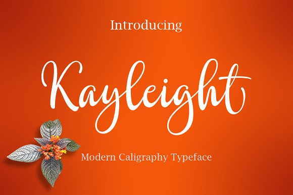 Kayleight: A Characterful Universe for Creative Projects