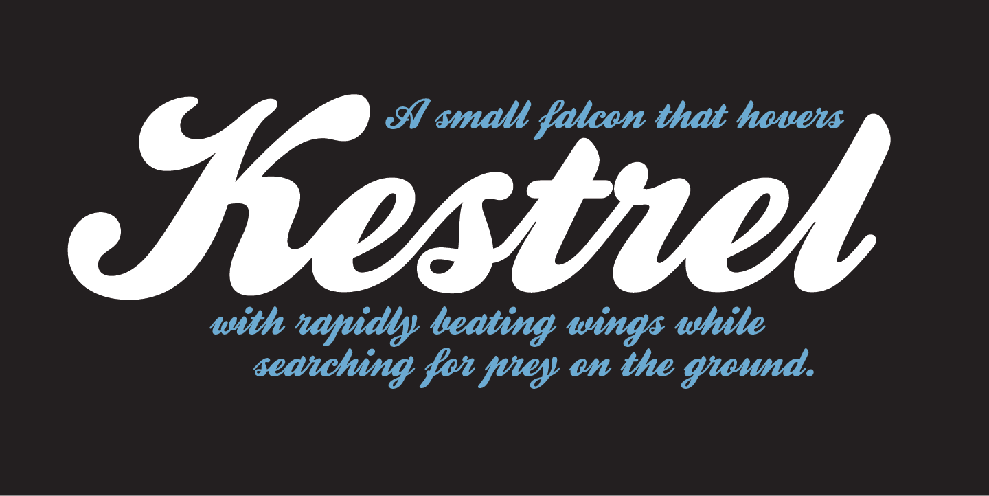 Kestrel Script: A Formal Script Finally Arrives in the Digital Age