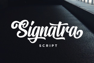 The Art of Digital Expression: Why Signatra Script Resonates Today