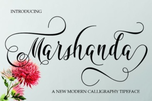 The Marshanda Typeface: Where Classic Elegance Meets Modern Style